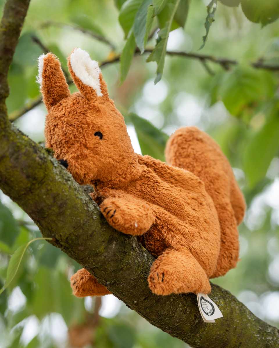 Senger Naturwelt Eichhörnchen Kuscheltier mit Traubenkernkissen 31 cm