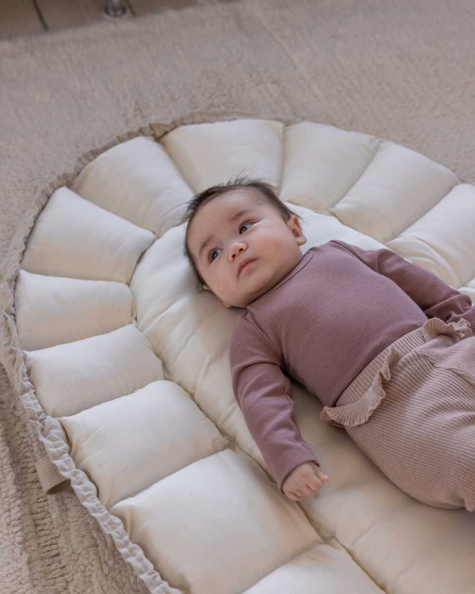 Sebra 3 in 1 Baby Nest mit Verdeck