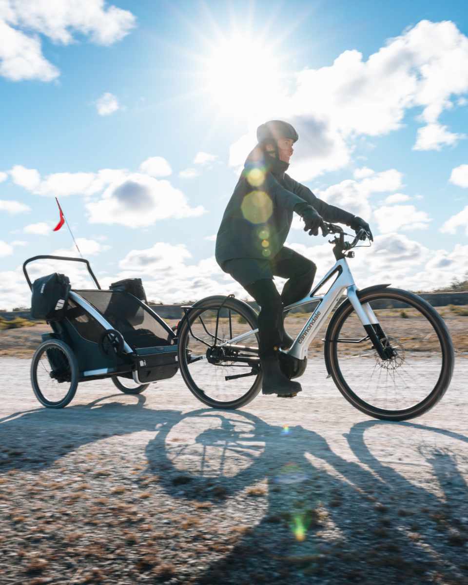 Thule Shield 13L Fahrradtaschen 2-er Pack