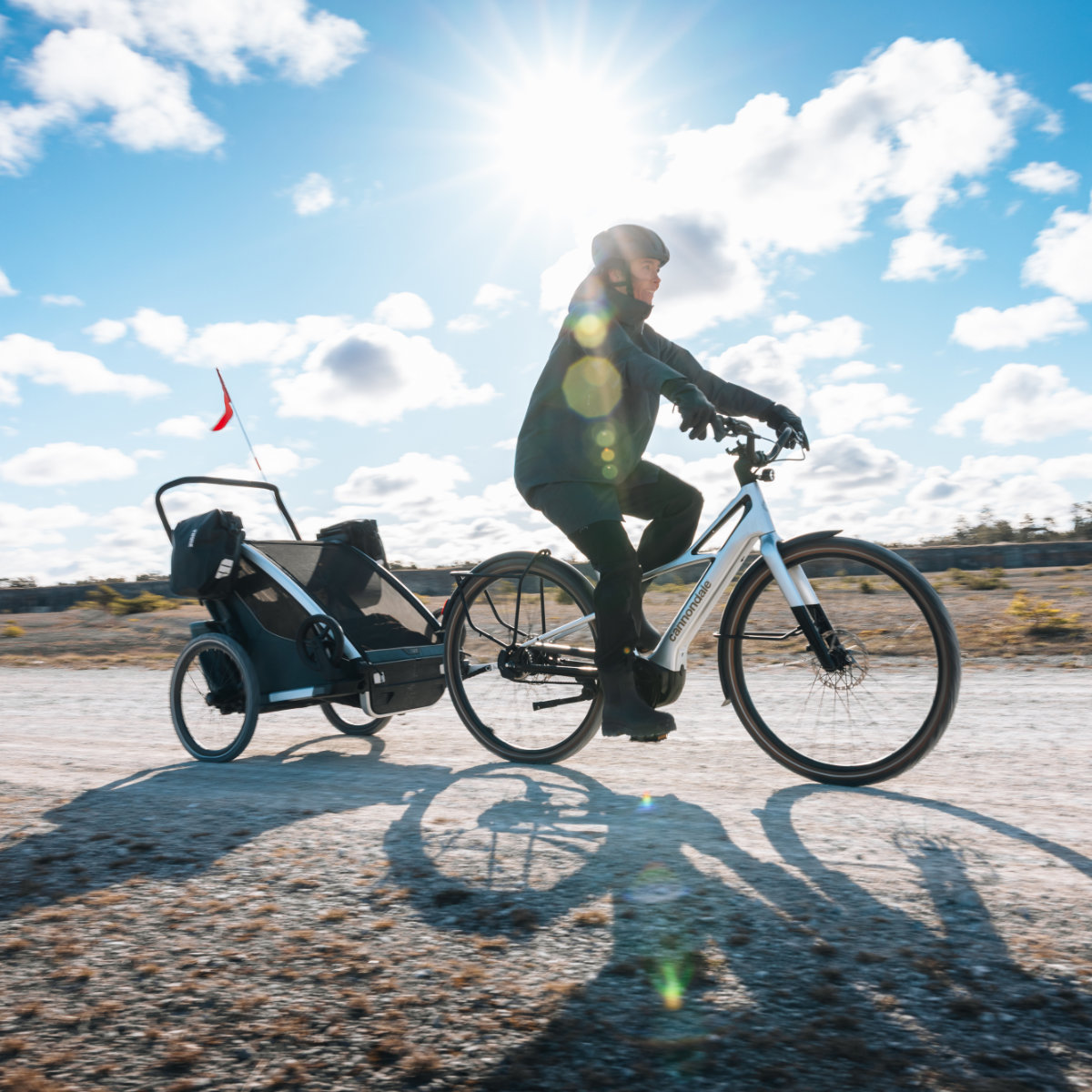 Thule Chariot 2 Gepäcktaschen-Adapter – 2er-Pack