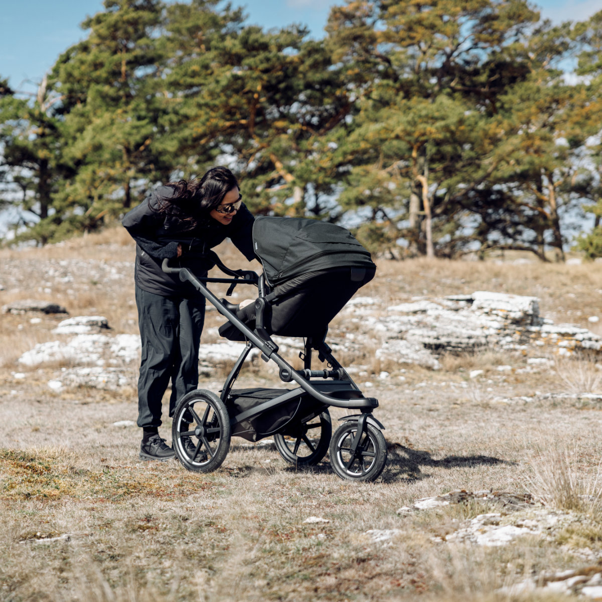 Thule Urban Glide Umkehrbarer Sitz / Sitzeinheit