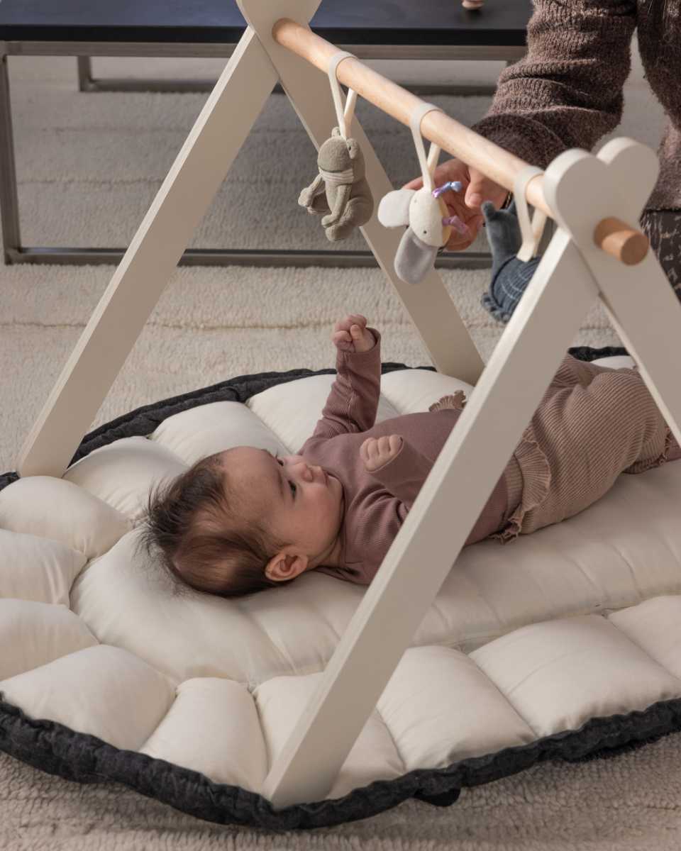 Sebra 3 in 1 Baby Nest mit Verdeck
