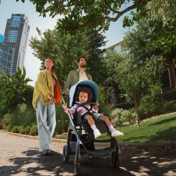 Bugaboo-Fox5