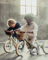 Vorschau: Trybike Korb für Laufrad aus Metall Vorschau: Trybike Korb für Laufrad aus Metall