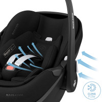 Vorschau: Bugaboo Fox 5 Renew Kinderwagen Set 3 in 1 inkl. Maxi Cosi Pebble 360 Pro2 Vorschau: Bugaboo Fox 5 Renew Kinderwagen Set 3 in 1 inkl. Maxi Cosi Pebble 360 Pro2